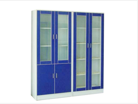 實(shí)驗(yàn)室儀器柜1 實(shí)驗(yàn)室儀器柜1